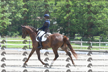 BEA_3306.JPG