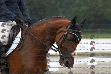 BEA_0843.JPG