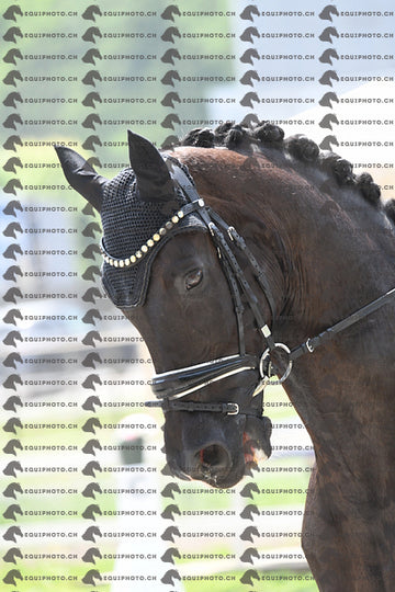 BEA_3476.JPG