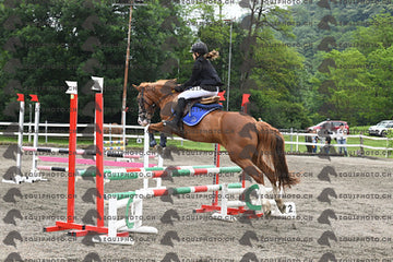 BEA_7149.JPG