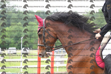 BEA_6974.JPG