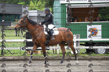 BEA_6806.JPG