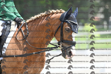 BEA_7836.JPG
