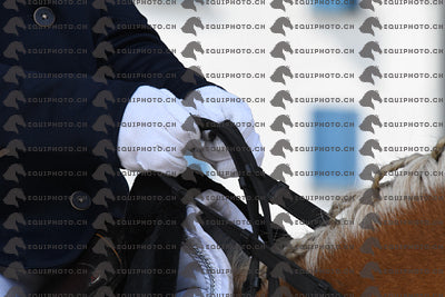 BEA_9496.JPG