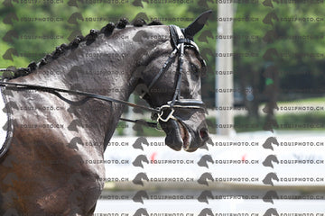 BEA_3252.JPG