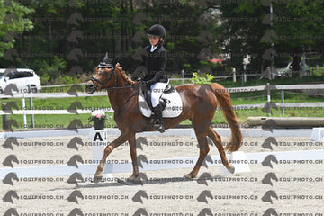BEA_7731.JPG