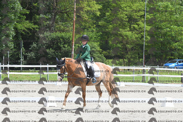 BEA_7809.JPG