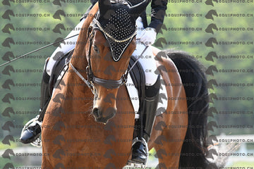BEA_1766.JPG