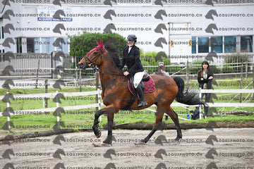 BEA_6609.JPG