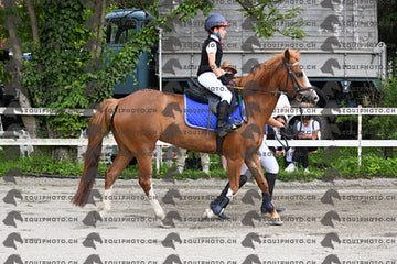 BEA_8158.JPG