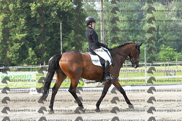 BEA_1097.JPG