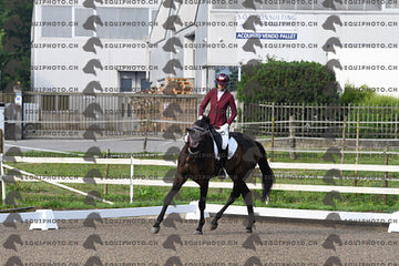 BEA_0266.JPG
