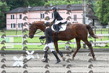 BEA_8008.JPG