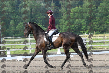 BEA_0304.JPG
