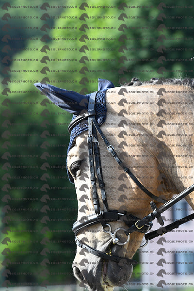 BEA_4877.JPG