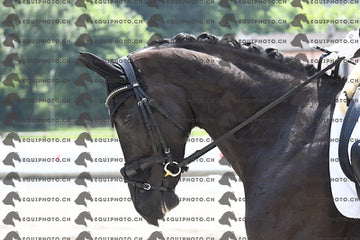 BEA_3110.JPG