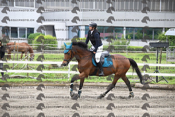 BEA_6764.JPG