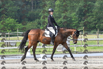 BEA_1088.JPG