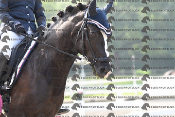BEA_1254.JPG
