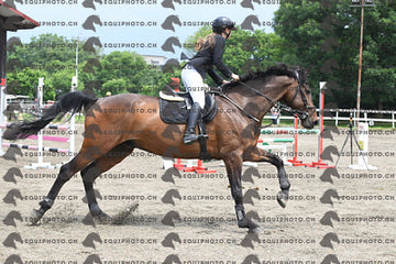 BEA_7401.JPG