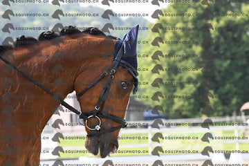 BEA_1583.JPG