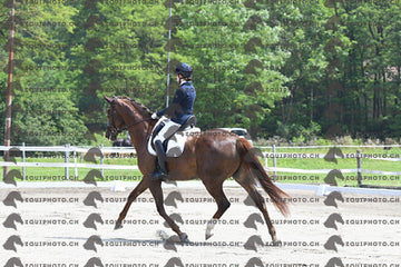 BEA_3307.JPG