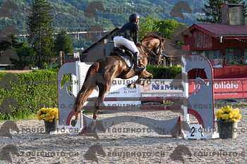BEA_3474.JPG