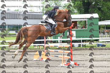 BEA_7450.JPG