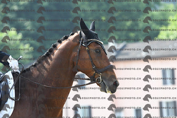 BEA_1718.JPG