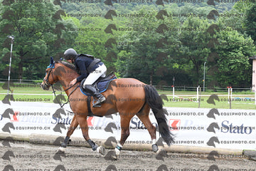 BEA_7200.JPG