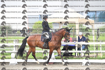 BEA_0978.JPG