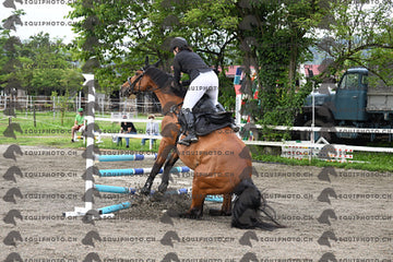 BEA_7506.JPG