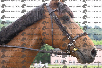 BEA_7540.JPG