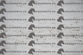 BEA_9637.JPG