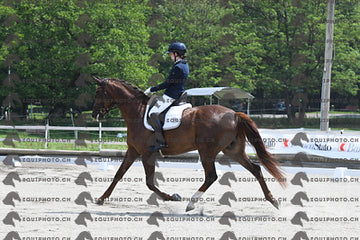 BEA_3305.JPG