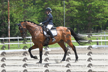 BEA_3441.JPG