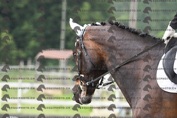 BEA_0808.JPG