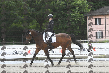 BEA_6347.JPG