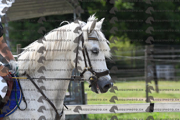 BEA_9879.JPG