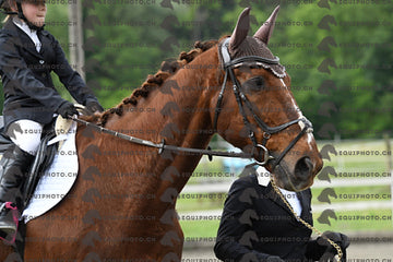 BEA_7939.JPG