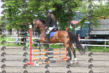 BEA_7037.JPG