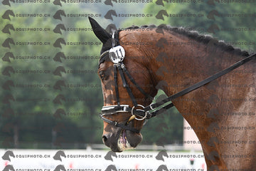 BEA_1040.JPG