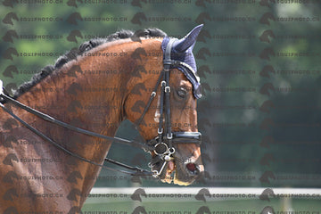 BEA_3406.JPG