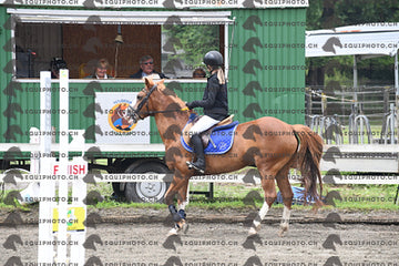 BEA_7137.JPG
