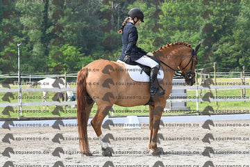 BEA_1407.JPG