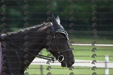 BEA_8389.JPG