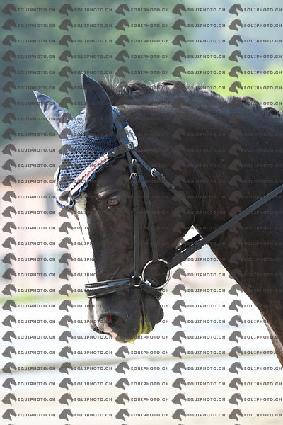 BEA_1259.JPG