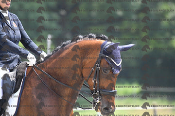BEA_3386.JPG