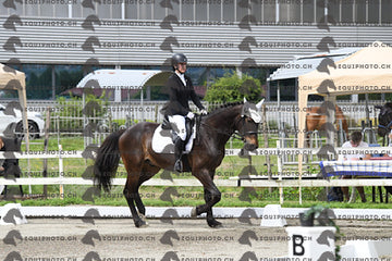 BEA_6071.JPG