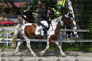 BEA_8476.JPG